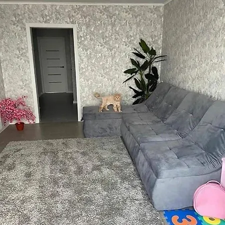 Miete Wohnung Miete In Koln Apartment